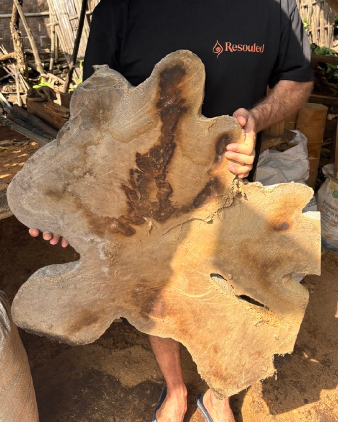Picture of Resouled founder holding up a piece of waste teak root to be used for products 